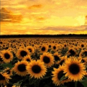 Meet your Posher, Beatrice